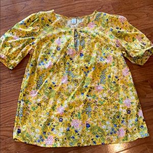 Women’s spring short sleeve